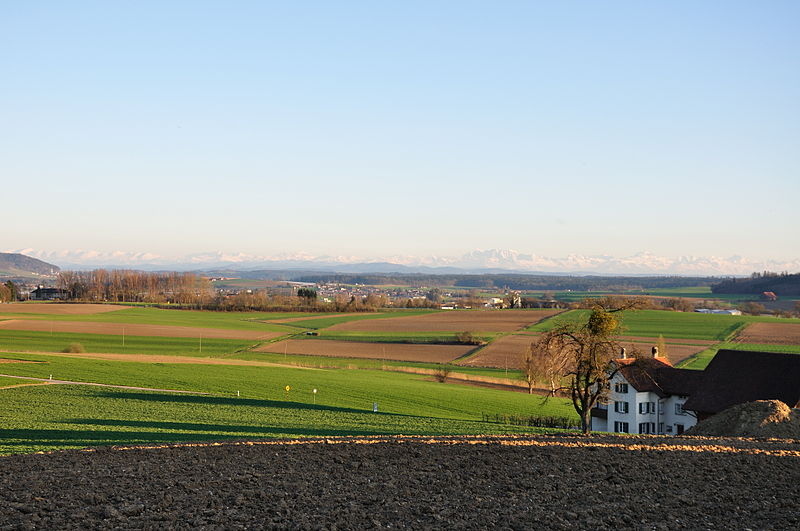 File:2010-04-06 17 22 12 Switzerland Dörflingen, Hinterdorf.jpg