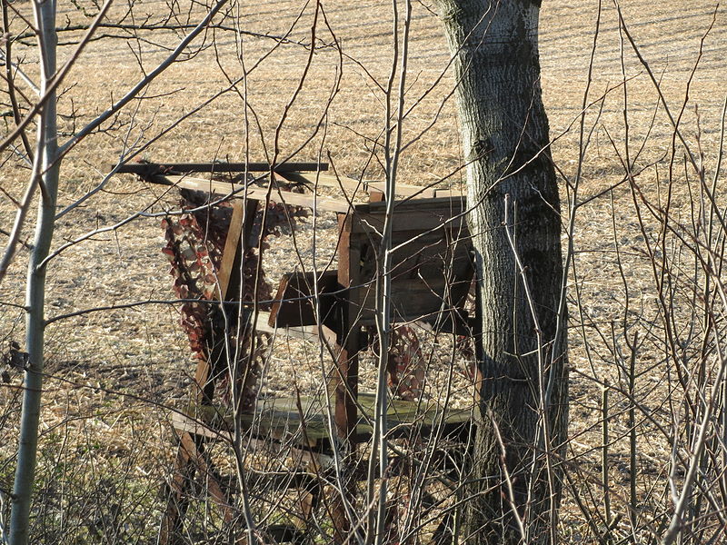 File:20150220Hockenheimer Rheinbogen3.jpg