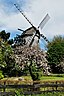 Turmwindmühle Anholt
Mühlenberg 8, 46419 Isselburg
Denkmalnummer (Isselburg) 1
geo: 51.8496702,6.4194857,9 Höhe 62m