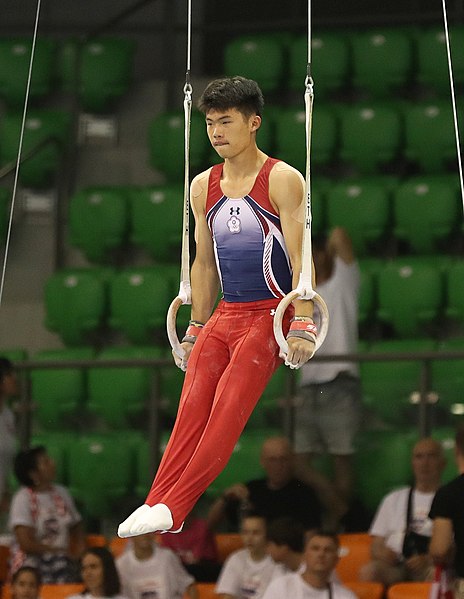 File:2019-06-27 1st FIG Artistic Gymnastics JWCH Men's All-around competition Subdivision 3 Still rings (Martin Rulsch) 177.jpg