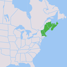 Regulation candlepin bowling is played mainly in the U.S. states and Canadian provinces that are colored green. 20190514 Candlepin states and provinces.png