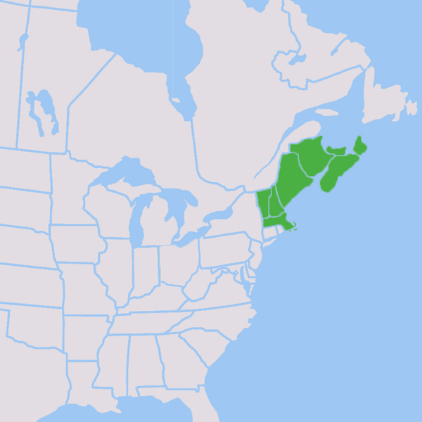 File:20190514 Candlepin states and provinces.png