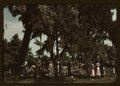 A Fourth of July celebration by a group of Negroes, St. Helena Island, S.C. LCCN2017877572.tif