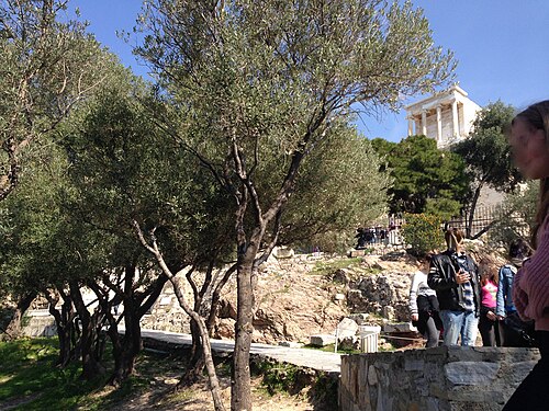 Acropolis of Athens