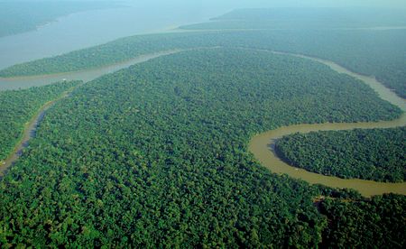 Tập_tin:Aerial_view_of_the_Amazon_Rainforest.jpg