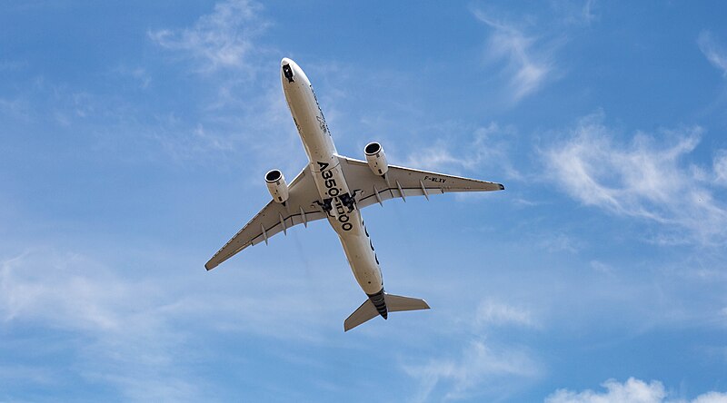 File:Airbus A350-1000 (34598951684).jpg