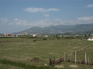 Albania coastal plain.jpg