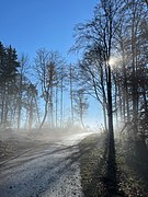 Höhenweg unmittelbar vor der Fallätsche