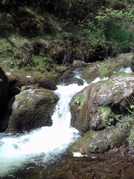 File:Alva Burn - geograph.org.uk - 828596.jpg