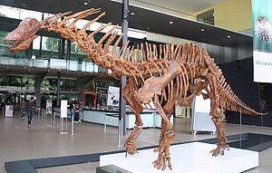 Esqueleto lançado no foyer do Museu de Melbourne