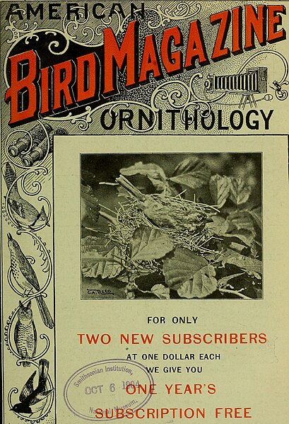 File:American bird magazine, ornithology (1904) (17930648660).jpg