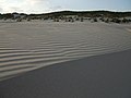 Amrum, Kniepsand, 5. August 2008