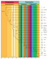 Thumbnail for version as of 07:41, 21 January 2012