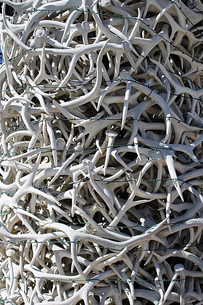 File:Antler Arch.jpg