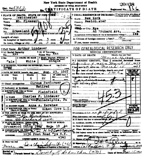 File:Arthur Oscar Lindauer (1867-1944) death certificate.png