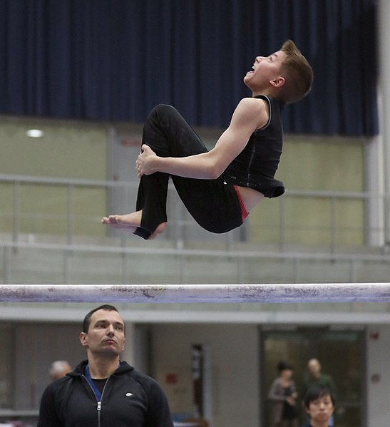 File:Austrian Future Cup 2018-11-23 Training Afternoon Parallel bars (Martin Rulsch) 0210.jpg