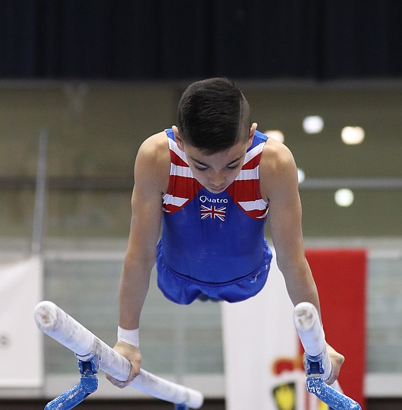 File:Austrian Future Cup 2018-11-23 Training Afternoon Parallel bars (Martin Rulsch) 0827.jpg