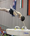 Austrian Future Cup 2018-11-23 Training Afternoon Pommel horse (Martin Rulsch) 329.jpg