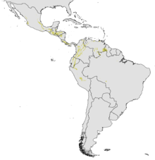 Azteca coeruleipennis - range map - no observation data.png