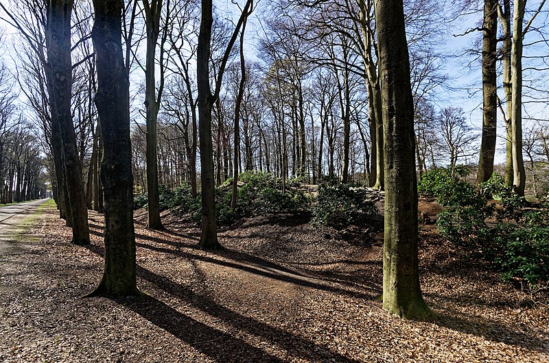 File:Baarn - Ravensteinselaan - Landgoed Groeneveld 2 - View on IJskelder.jpg