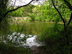 Cemetery pond