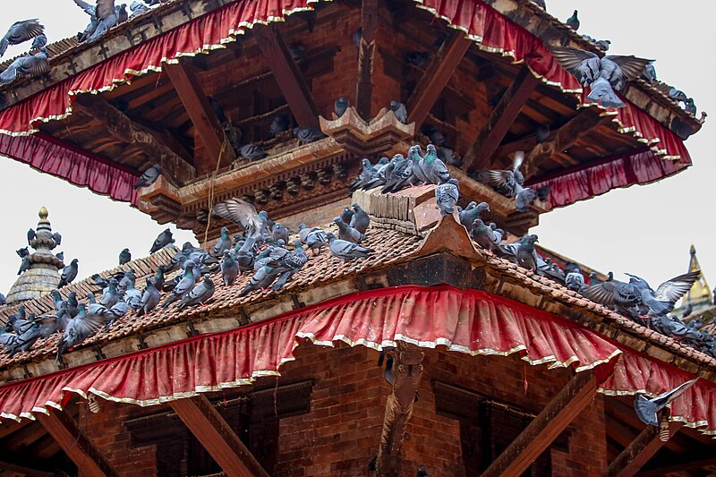 File:Bajrayogini Temple in Sankhu Town.jpg