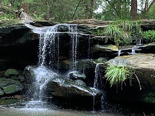 <span class="mw-page-title-main">Balaka Falls</span> Waterfall in New South Wales, Australia