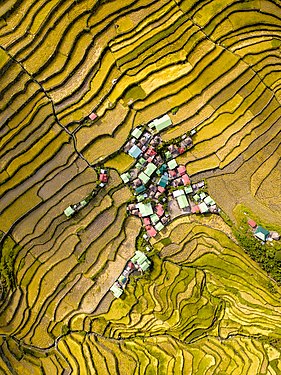 Batad houses in the famous Batad Rice Terraces, by Flickr user Vinnie Cartabiano