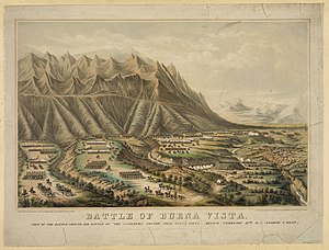 Schlacht Von Buena Vista: Vorgeschichte, Verlauf, Literatur