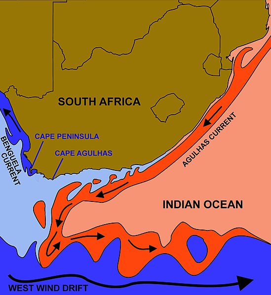 The courses of the warm Agulhas current (red) along the east coast of South Africa, and the cold Benguela current (blue) along the west coast. Note th