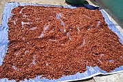 More peppers, chopped and laid out for further drying.