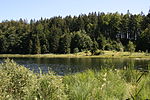 Bichlersee