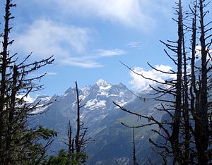 Vedere din Allmenalp