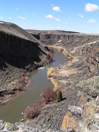 <span class="mw-page-title-main">Blackfoot River (Idaho)</span> River in Idaho, United States