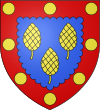 Stadtwappen von Pigny (Cher) .svg