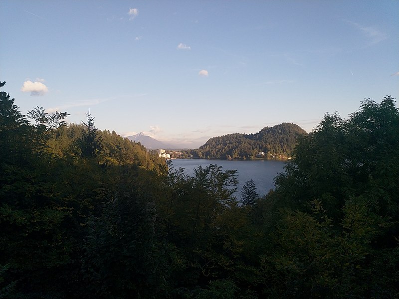 File:Bled - Blick auf den See (51581485009).jpg