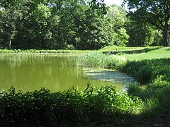 Kleiner Teich