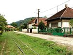 Brad, str Zarandului, narrow gauge railway.jpg