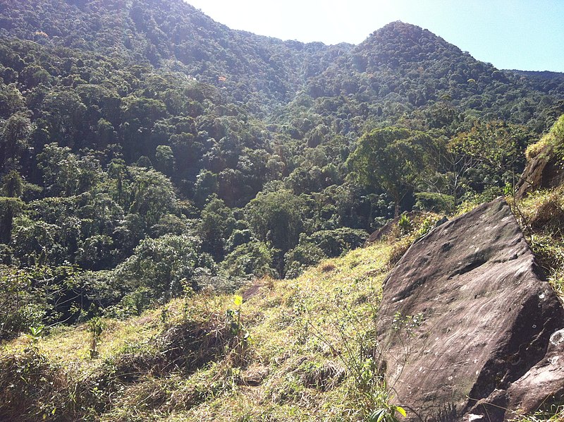 File:Brasil Rural - panoramio (33).jpg