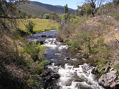 Goodradigbee River in the Brindabella valley.