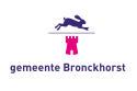 Flagge der Gemeinde Bronckhorst