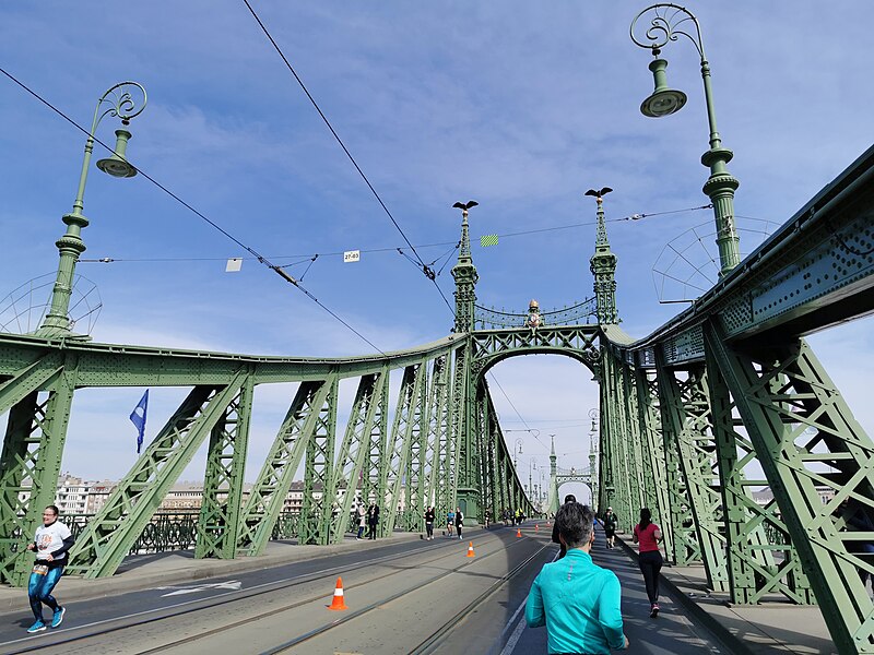 File:Budapest, Szabadság híd, 18.jpg
