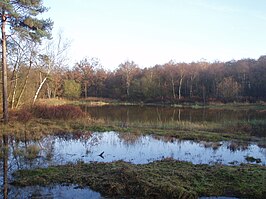 Valleigebied van de Kleine Nete met brongebieden, moerassen en heiden