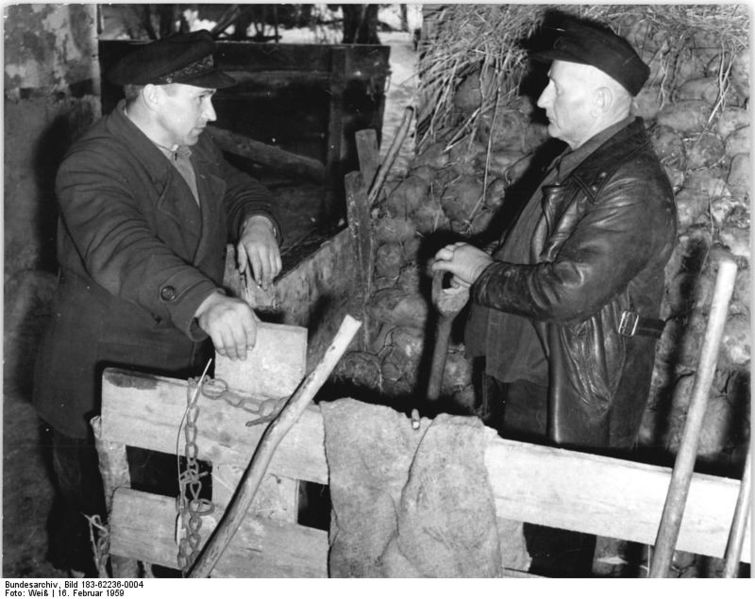 File:Bundesarchiv Bild 183-62236-0004, LPG Wilmersdorf, Vorsitzender im Gespräch.jpg