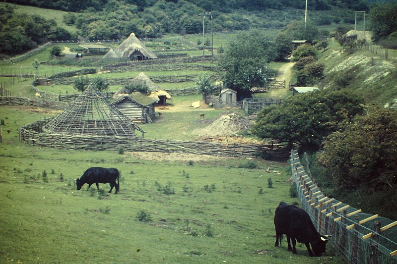 File:Butser Ancient Farm - geograph.org.uk - 2925126.jpg