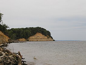 Calvert Cliffs, Calvert Cliffs State Park.jpg