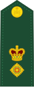 Esercito canadese OF-4.svg