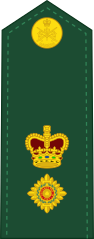 Canadian Army(Lieutenant Colonel)