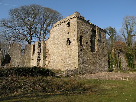 Candelston Castle 2009