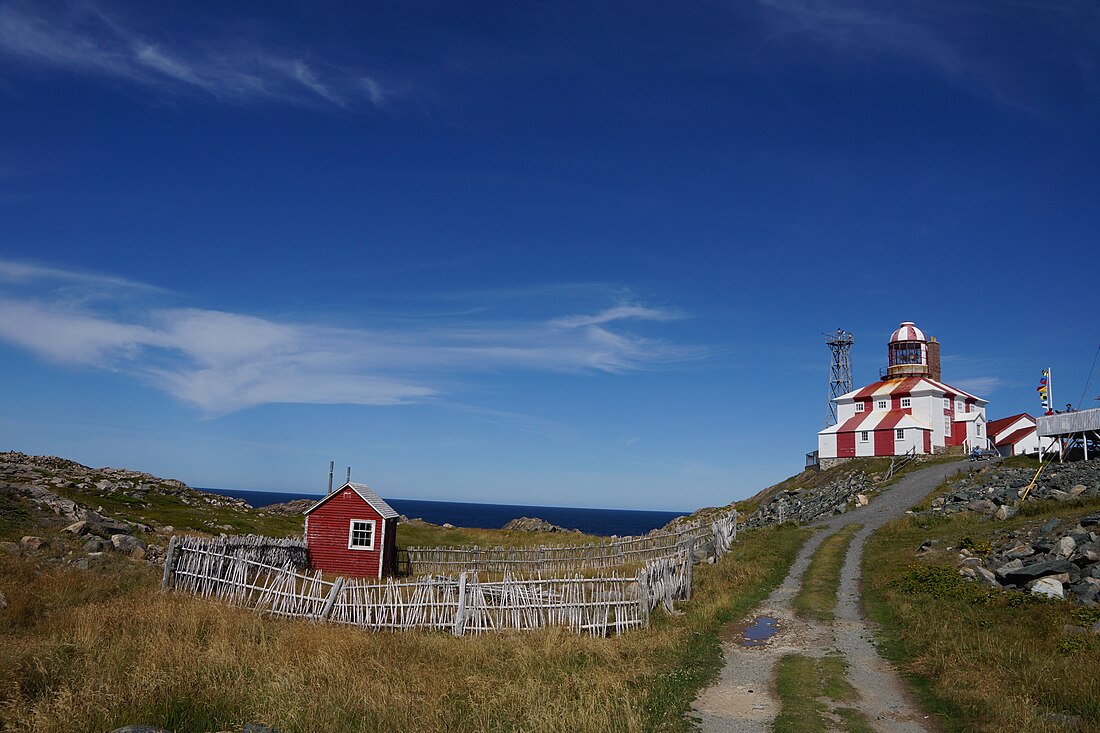 Cape Bonavista Light